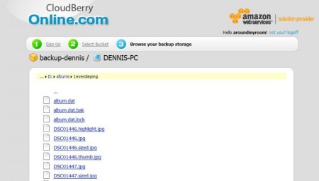 coudberry-onlinebackup6