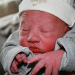 IMG_2530 IMG_2530