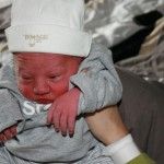 IMG_2531 IMG_2531