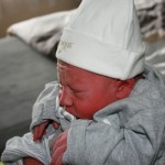 IMG_2533 IMG_2533