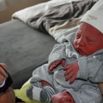 IMG_2534 IMG_2534