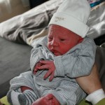 IMG_2536 IMG_2536