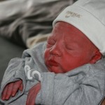 IMG_2537 IMG_2537