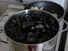 mussels.jpg