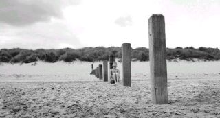 beach.jpg